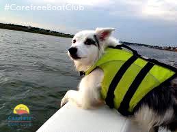 Carefree Boat Club Dogs On Lake Allatoona  