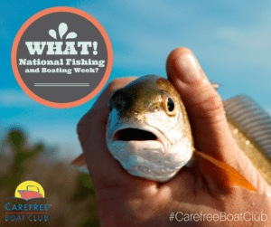 Carefree Boat Club WHAT-1  