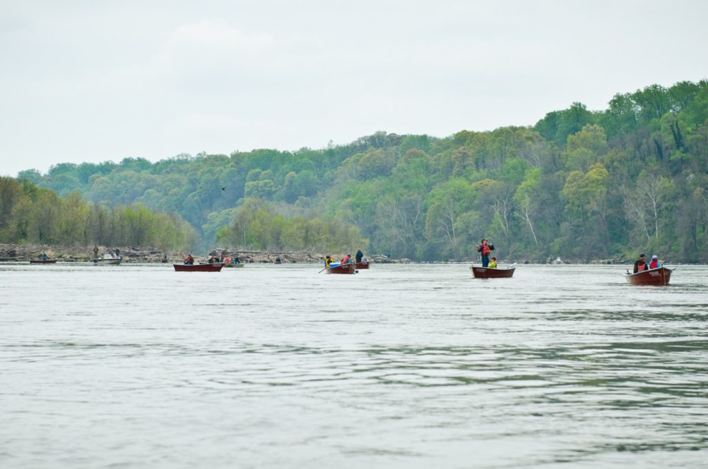 Carefree Boat Club Guide To Fishing in D.C.  