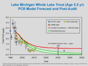 Great Lakes Fishes Chart