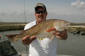 Carefree Boat Club Red Drum and Puppy Drum Biting  