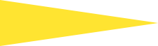 yellow-flag-icon