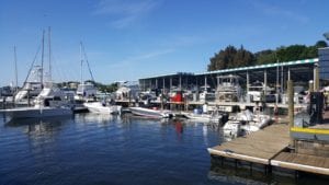 Carefree Boat Club tarpon  