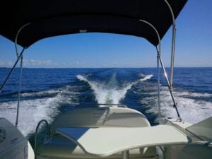 Carefree Boat Club 2600-Maxum  