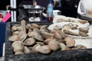 Carefree Boat Club OysterFest-Clams  