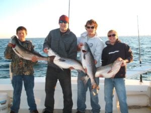 Carefree Boat Club Striper  