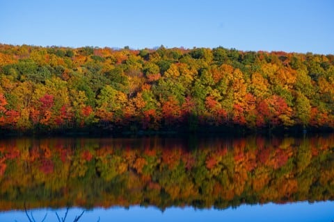 Carefree Boat Club Boater's Guide to Connecticut Leaf Peeping  
