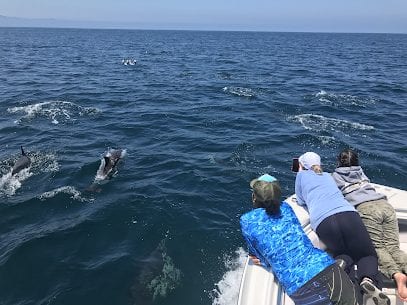 Carefree Boat Club Channel Islands Ventura  