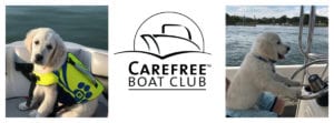 Carefree Boat Club dog blog  