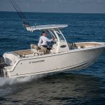 2021 Sailfish 241cc