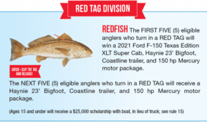 Carefree Boat Club Catch-Redfish_Division-4 
