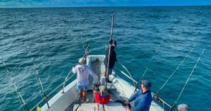 Newport Beach fishing