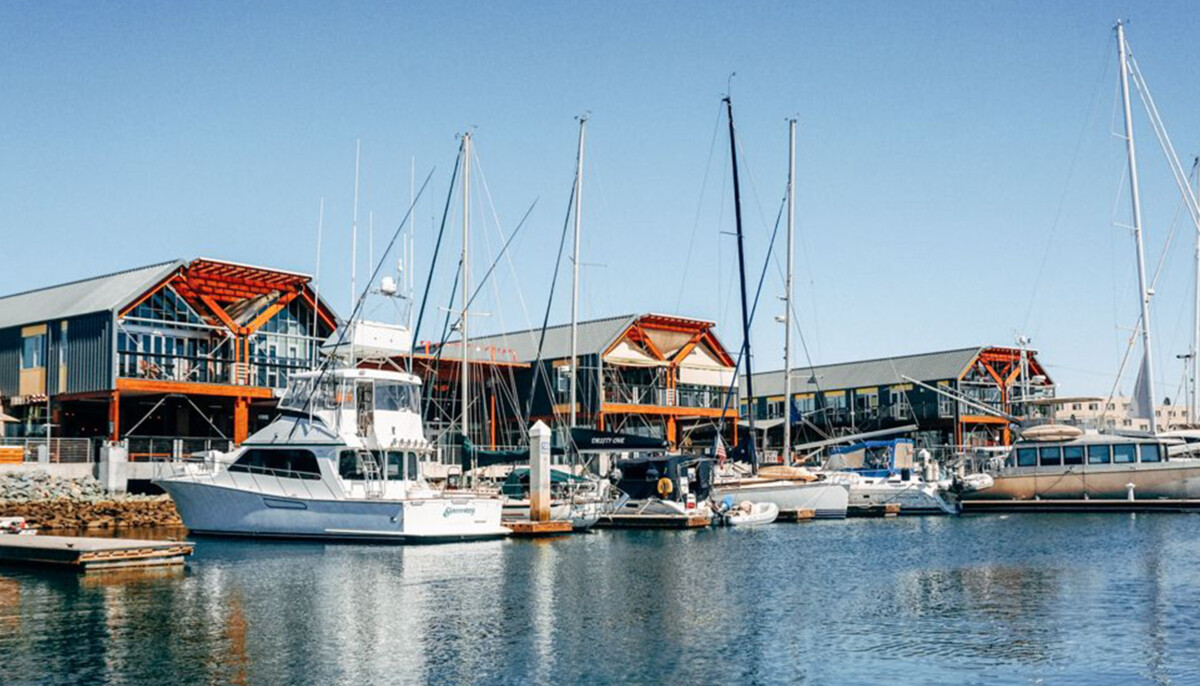 Carefree Boat Club SoCal (Newport/San Diego)  