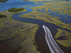 Carefree Boat Club lowcountry-marsh-carefree  