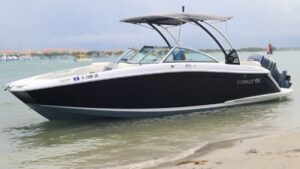 Carefree Boat Club Stallion  