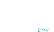 https://carefreeboats.com/wp-content/uploads/2025/04/logo-dmv-png.webp