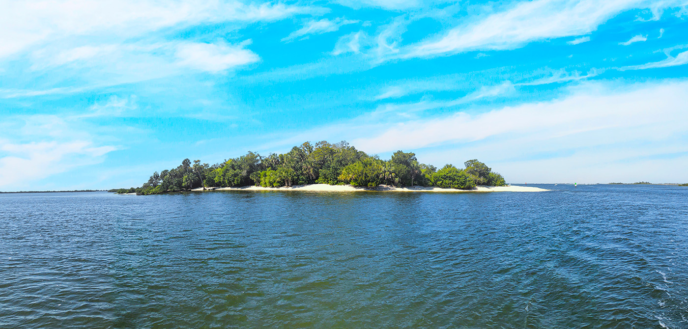 Shell Island