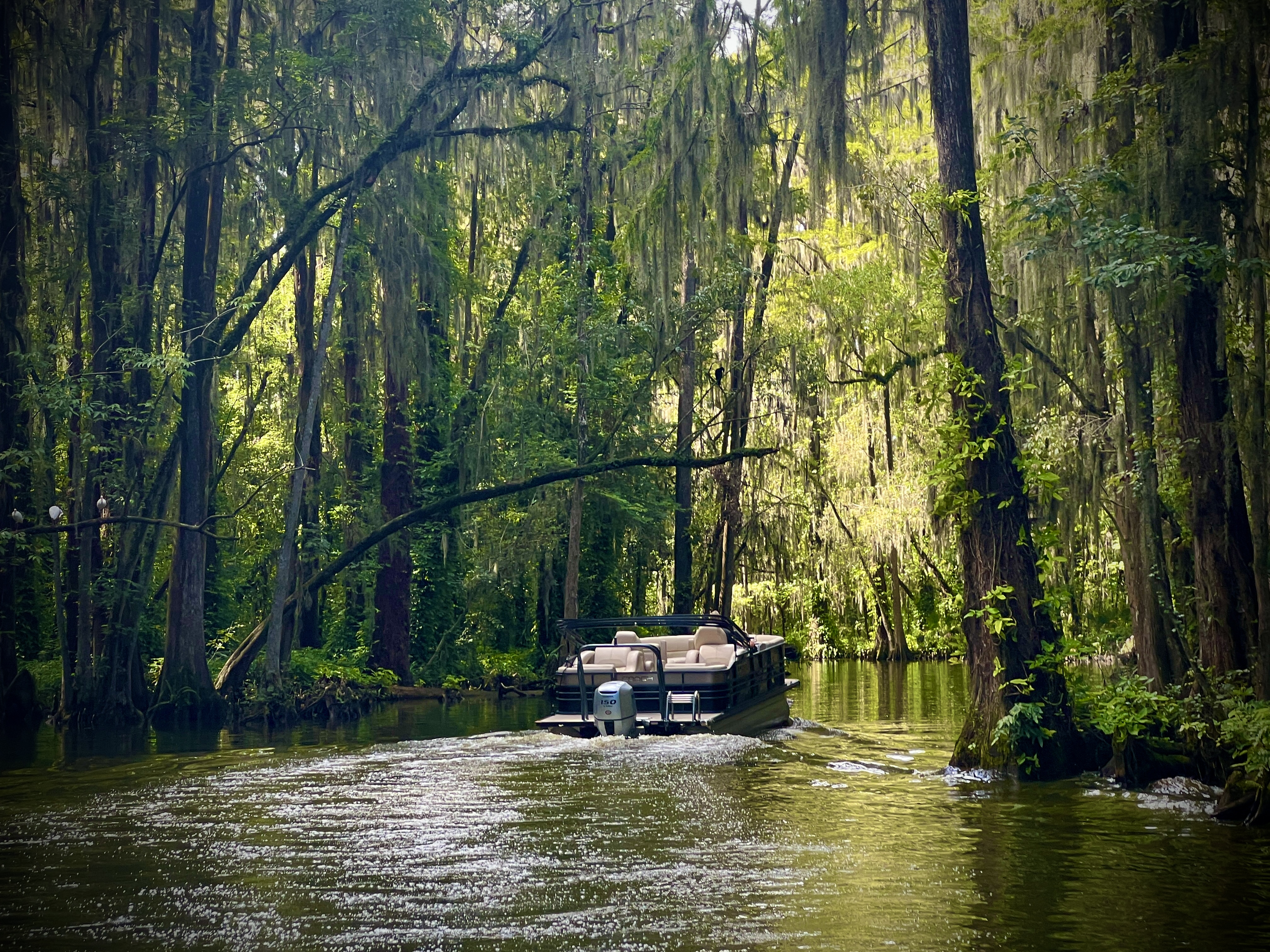 Dora Canal