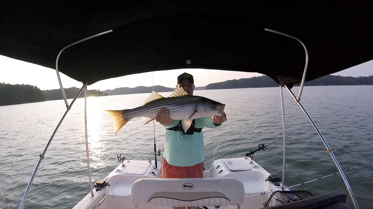 Fishing
