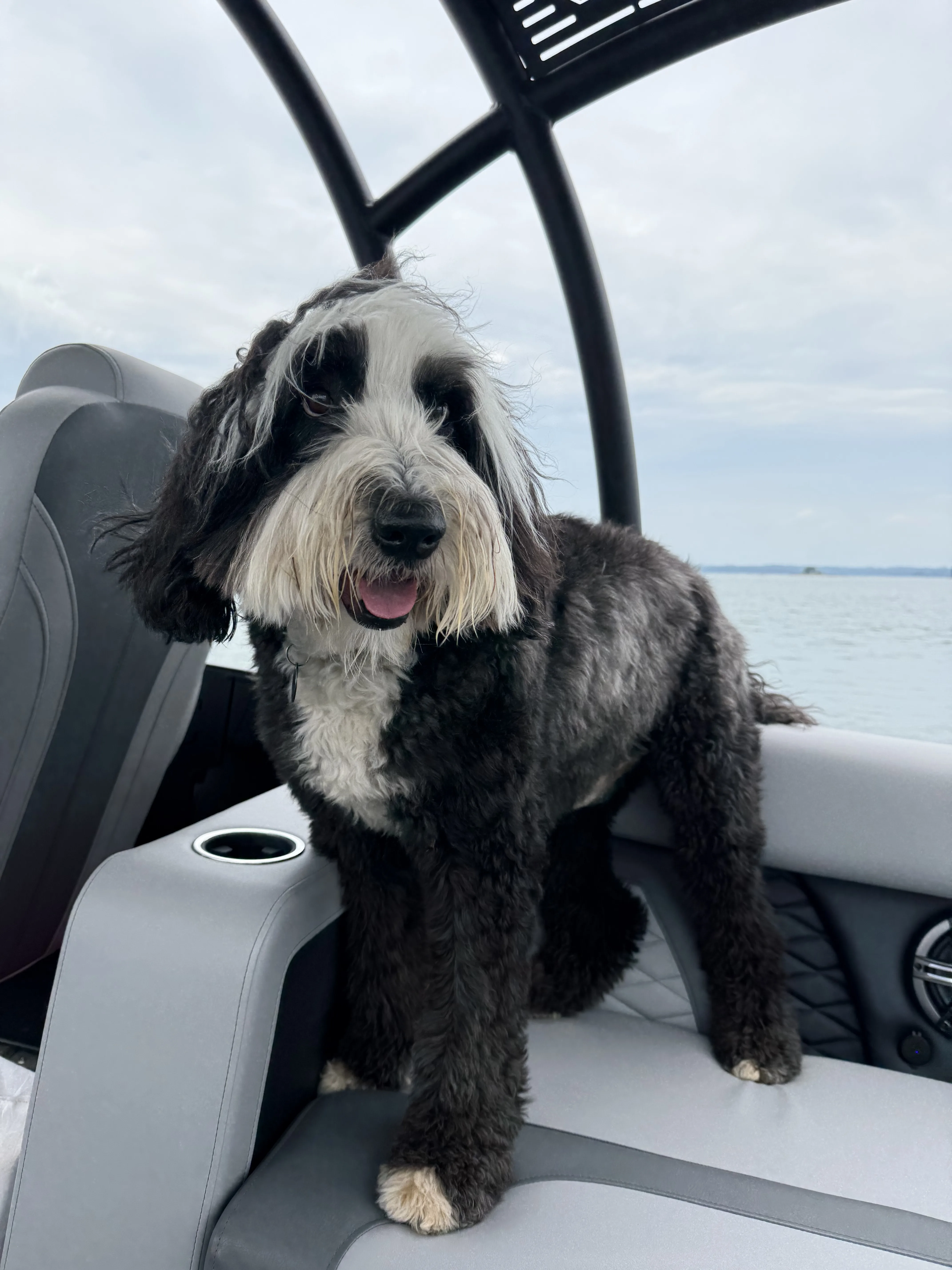 https://carefreeboats.com/wp-content/uploads/2025/06/max-1.webp