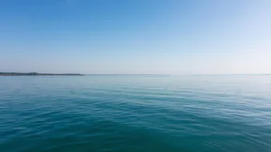 Daytime scenic view of the Navesink River in Red Bank, NJ, showing calm water and shoreline, highlighting the beauty of the local boating area.